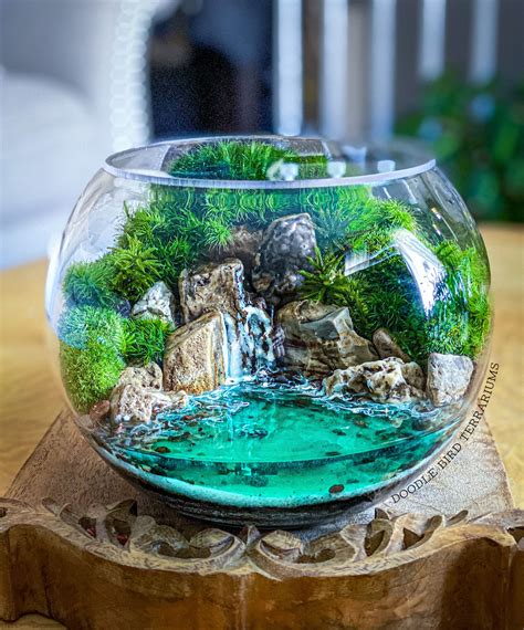 The Beauty and Benefits of Glass Terrarium Bowls